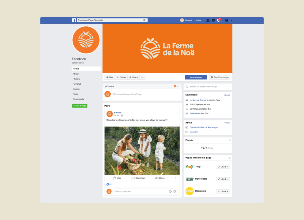 Interface page FACEBOOK copie