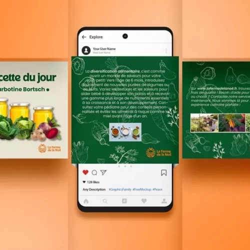 reseaux sociaux Nantes graphiste