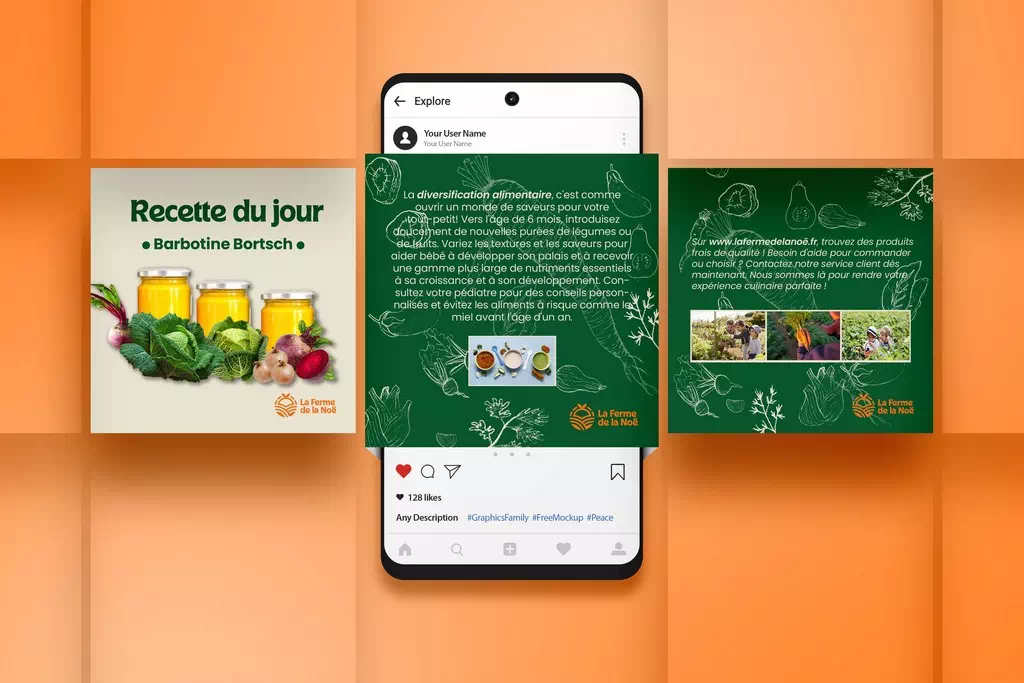 reseaux sociaux Nantes graphiste